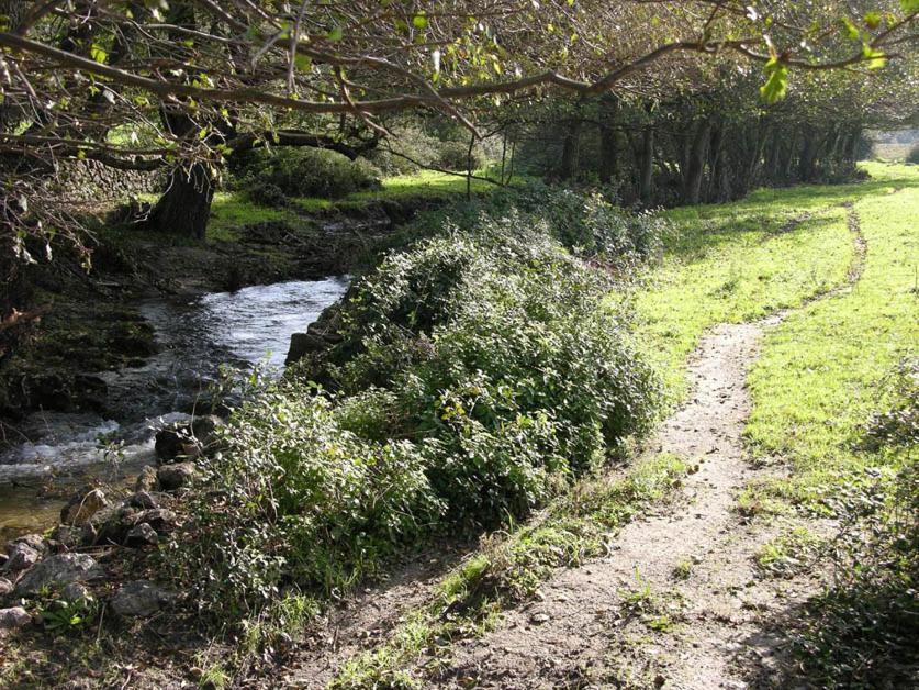 Quinta De Luna Villa Valencia de Alcántara Eksteriør bilde